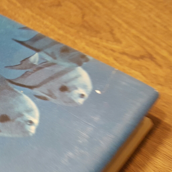 *SOLD* WONDROUS WORLD OF FISHES 1969 NEW ENLARGED - Picture 14 of 14